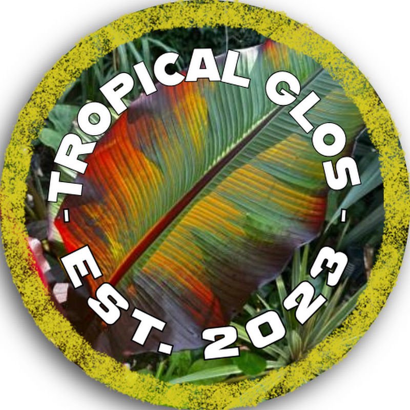 TropicalGlos