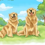 Bella & Caspian 🐾