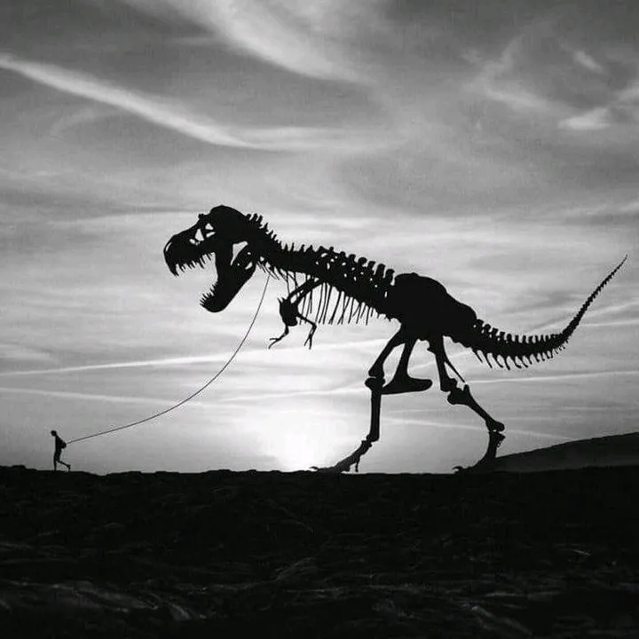 Fossil
