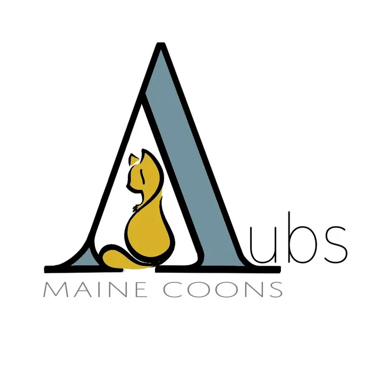 AubsMaineCoons_Cats&Kittens