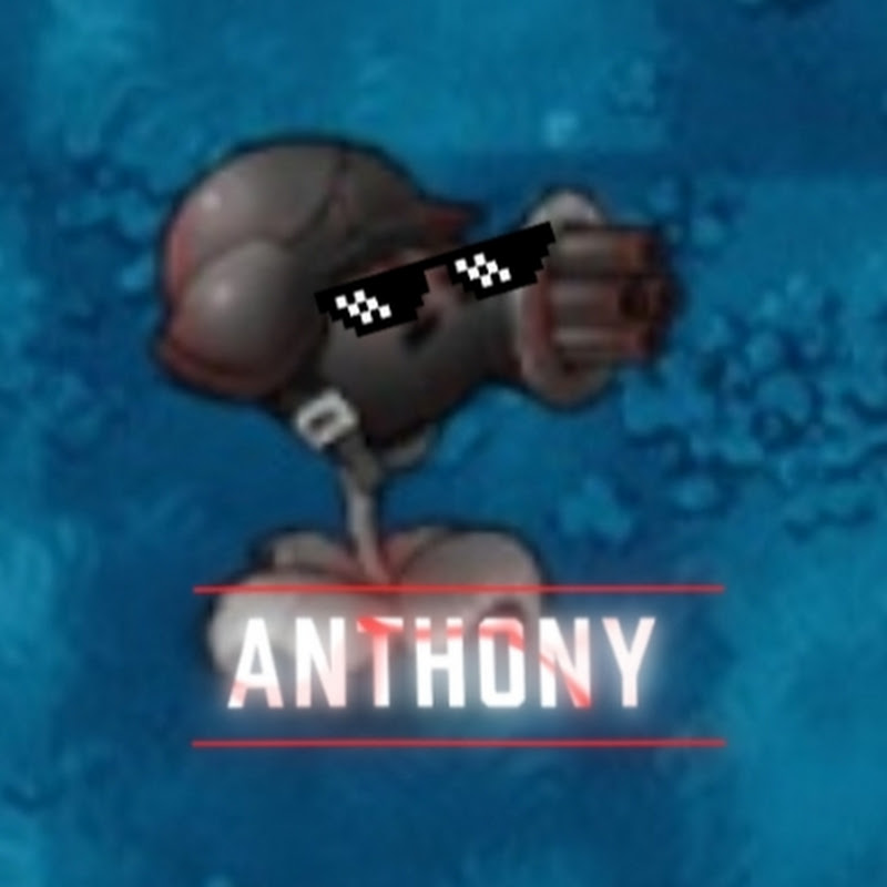 ANTHONY PVZ