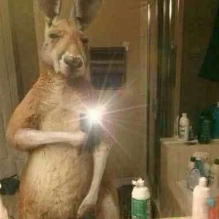 Elcanguro