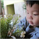 Stuff From USA / UK since 2009