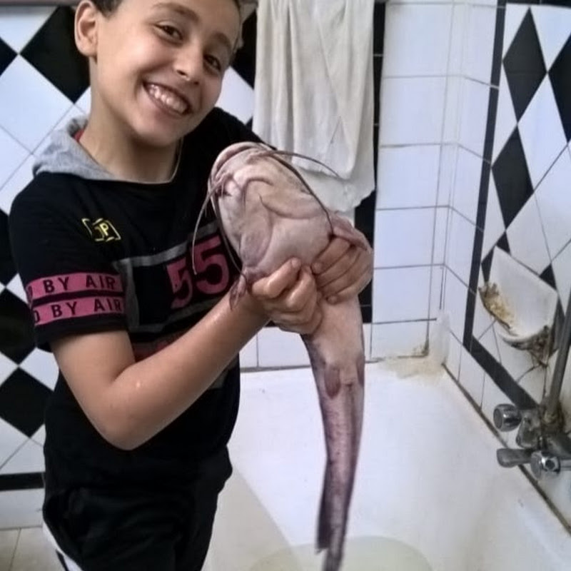 صيد السمك بالمنصورة fishing & hunting