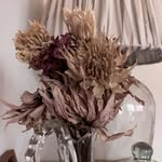 Lotta Kourimo | Lifestyle • Interior