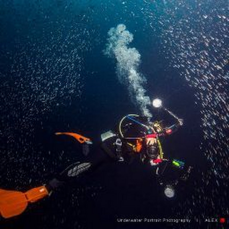 Steven 木四水好像只会潜水