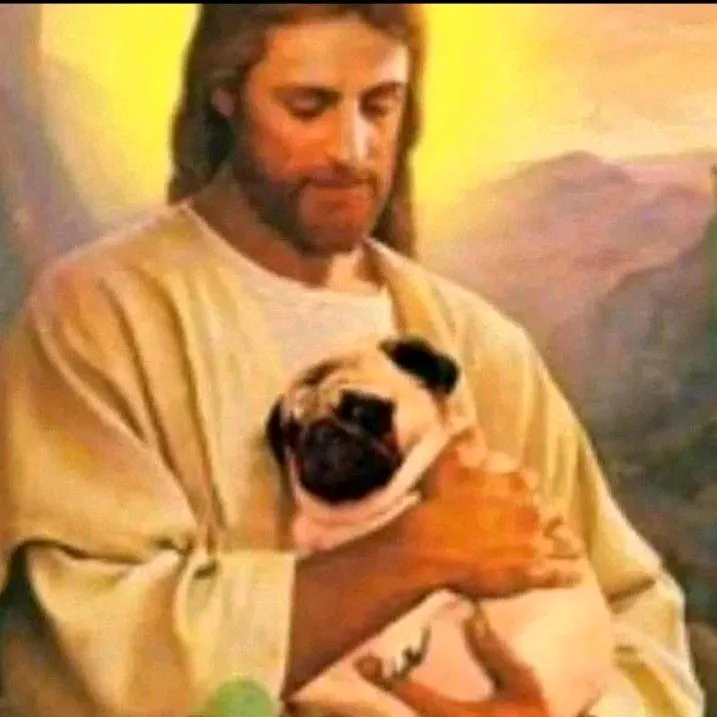 Pug_bru⛎