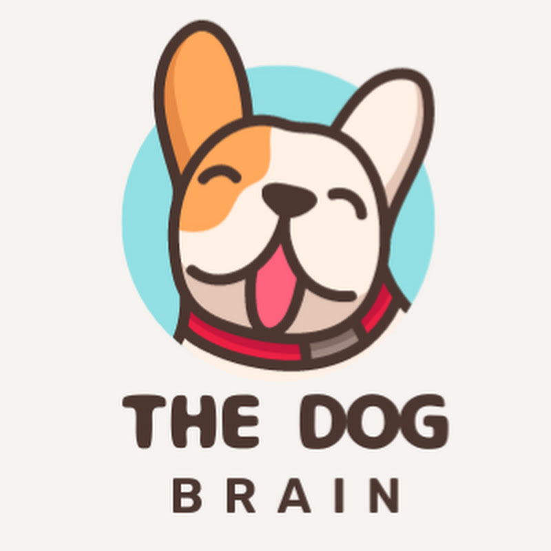 The Dog Brain