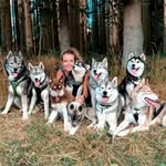 Une fille parmi les huskies