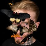 Adrian Kozakiewicz/Insecthaus®