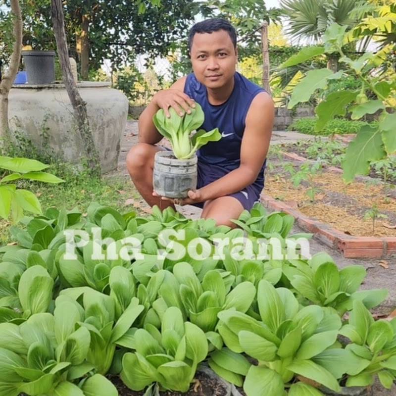 Pha Sorann