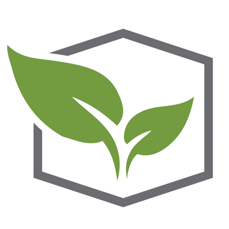 Terapia Urbana, diseño de jardines verticales