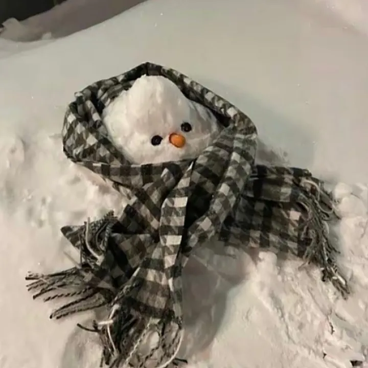 ⛄️🝮𝑔𝓇𝒶𝒸ℯ *.❄️