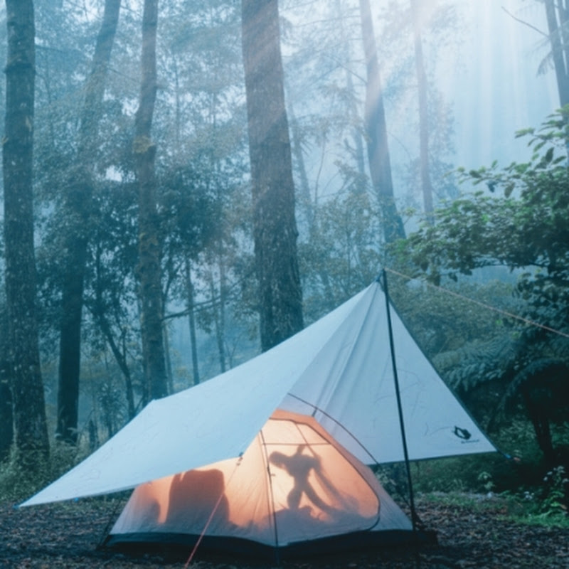 Tom Wildcamp