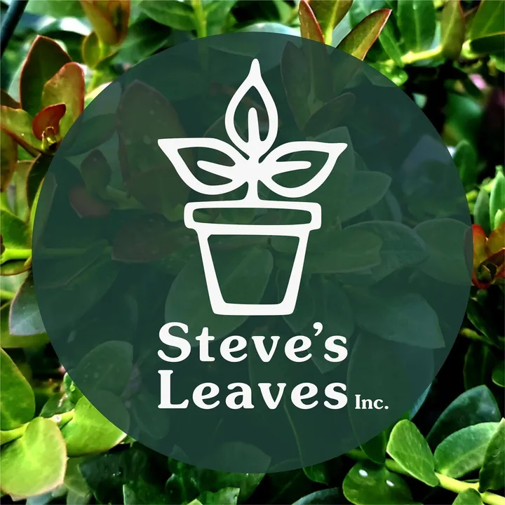 Steve’s Leaves