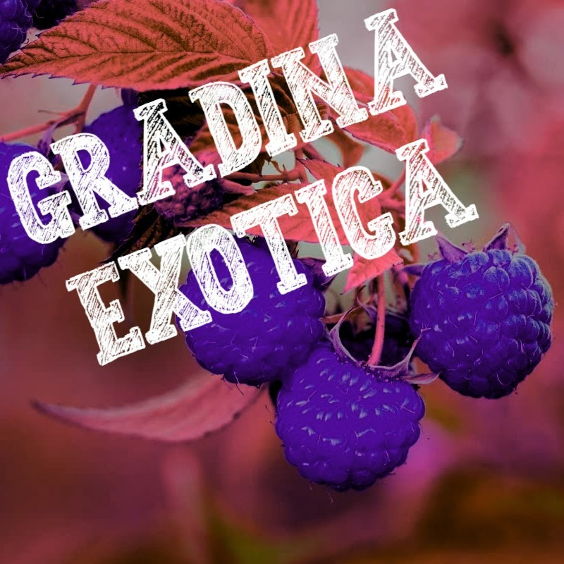 Gradina Exotica