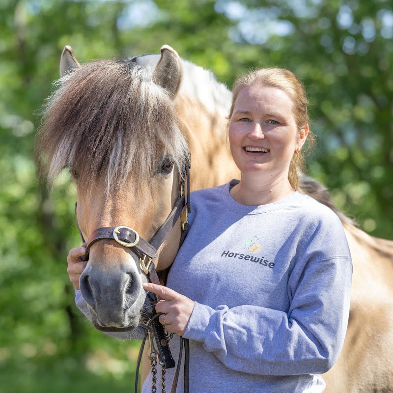 Horsewise