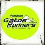 Gatos Runners Acarigua
