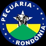 PECUÁRIA RONDÔNIA