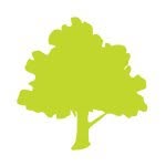 SF | Natural, Clean & Plant-based Skincare