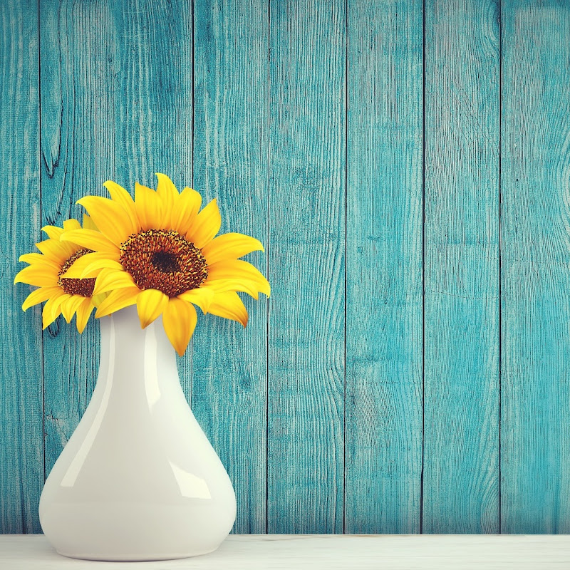 The Home Decor Ideas