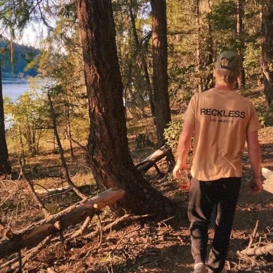 findsbytreyce
