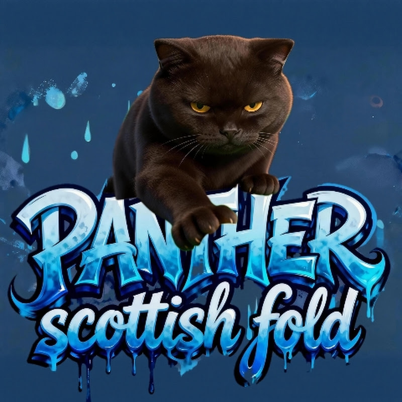 The panther cat