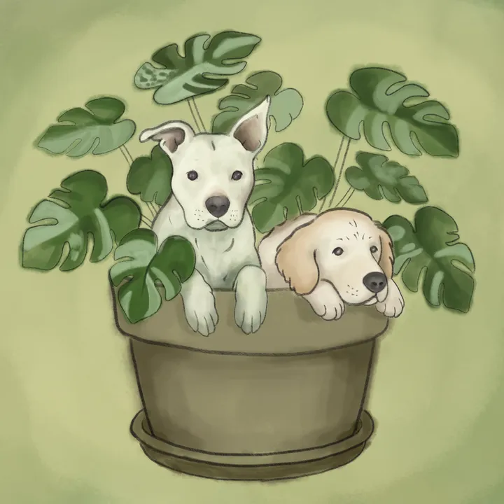 Viviendo en Verde