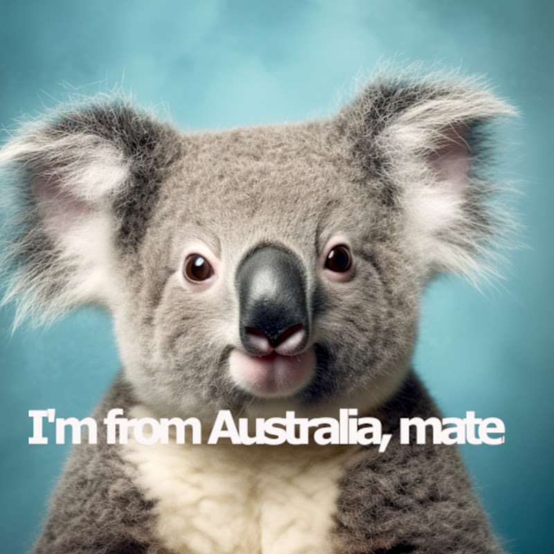 Channel of Visual Adventures