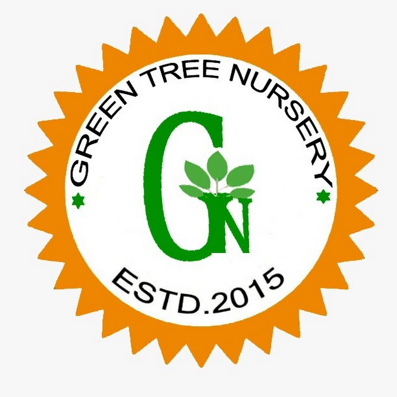 Green Tree Nursery®️