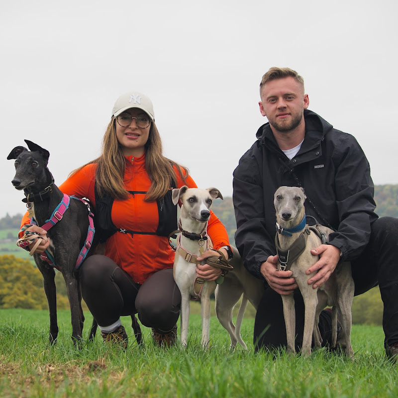 Passionate About Dogs