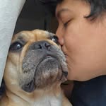 Ronaldo Andre H Alvarado