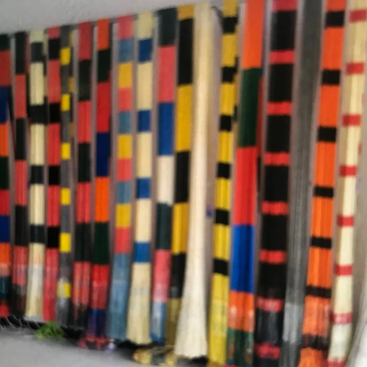 Cast nets