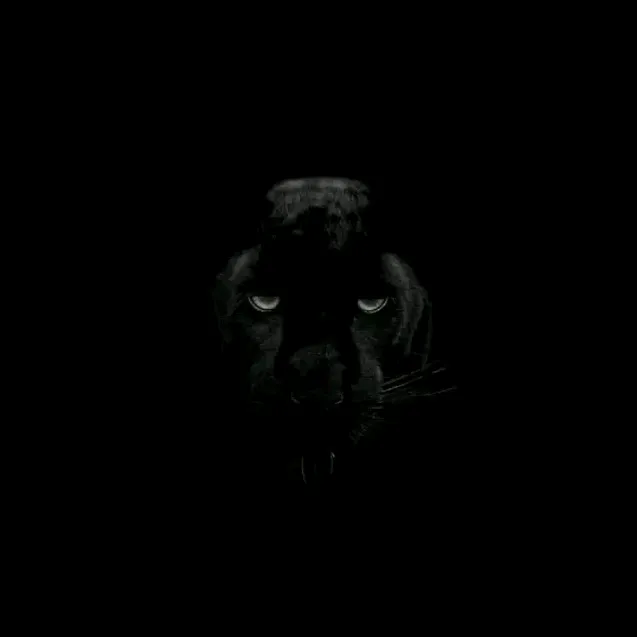 𒆜₭𝔞іᴢ𝖾𝐧𒆜