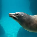 Long Island Aquarium
