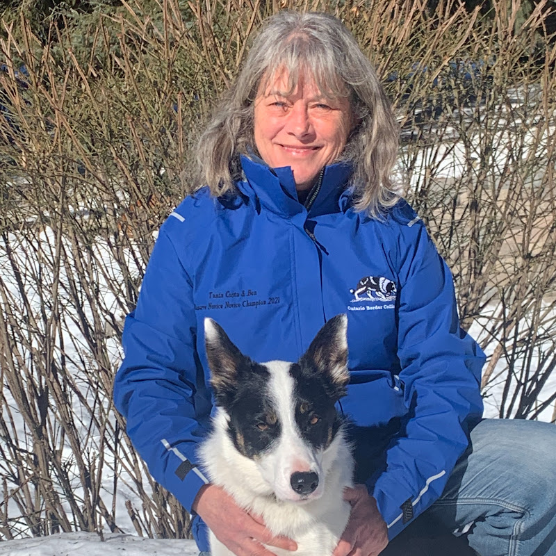 canine wellness online