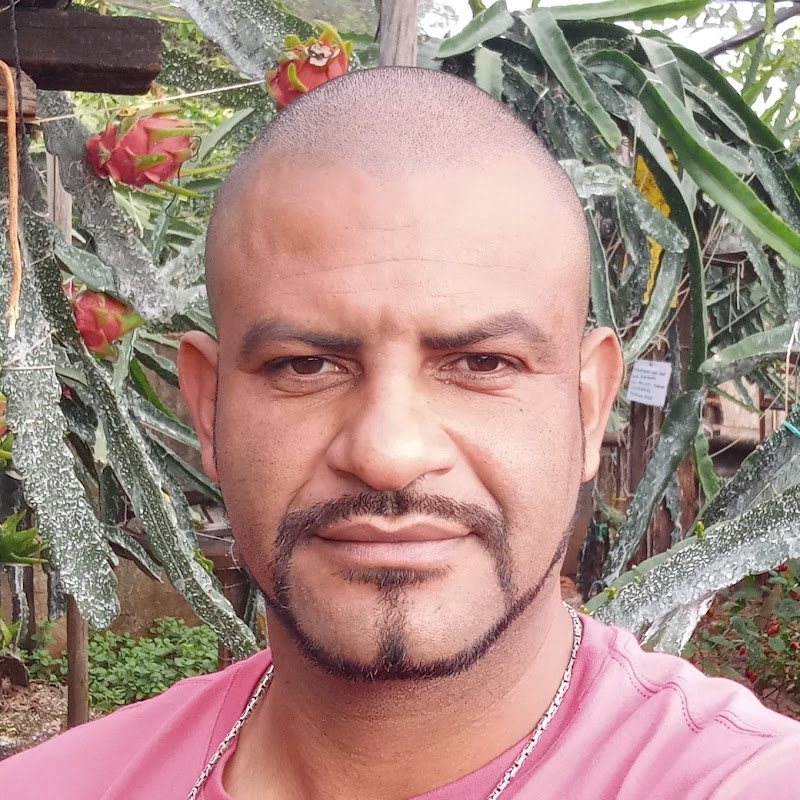 Quintal do Duda