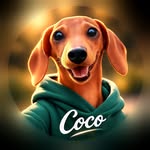 The Suite Life Of Coco