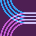 Stanford Institute for Human-Centered Artificial Intelligence