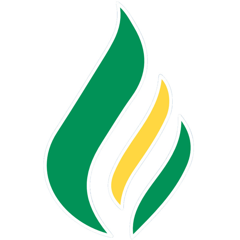 Reignite Democracy