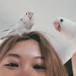 🐦 𝗣𝗲𝗽𝗽𝗲𝗿 | 🧄 𝗚𝗮𝗿𝗹𝗶𝗰 | 👩🏻‍🍳 | 🧑🏻‍🦱