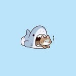 𝒃𝒂𝒃𝒚 𝒔𝒉𝒂𝒓𝒌 🇻🇳