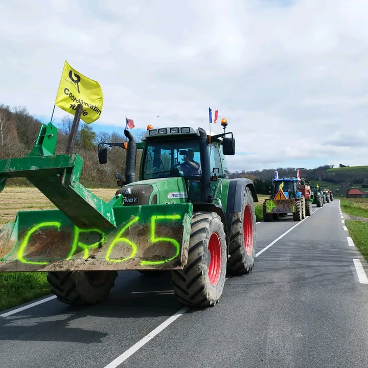 CR65