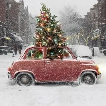 🎄🎅🏼Christmas Vibes🎅🏼🎄