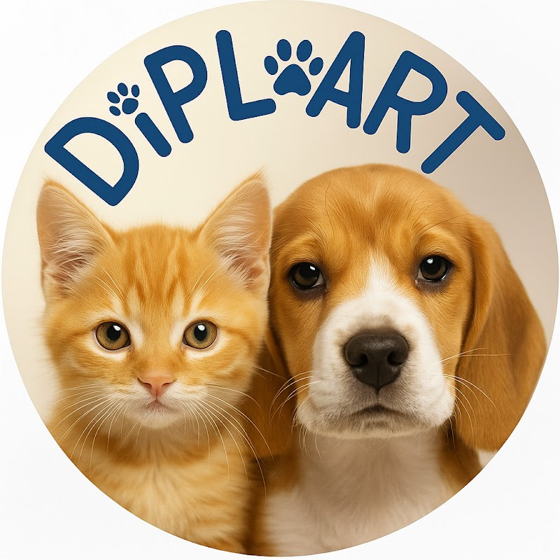 DIPL ART