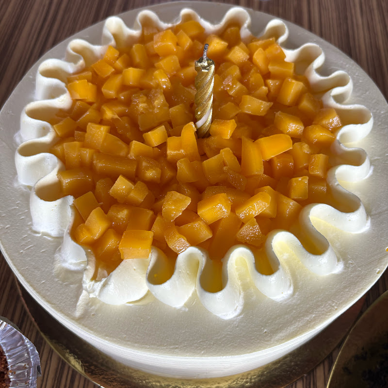 리사🩷