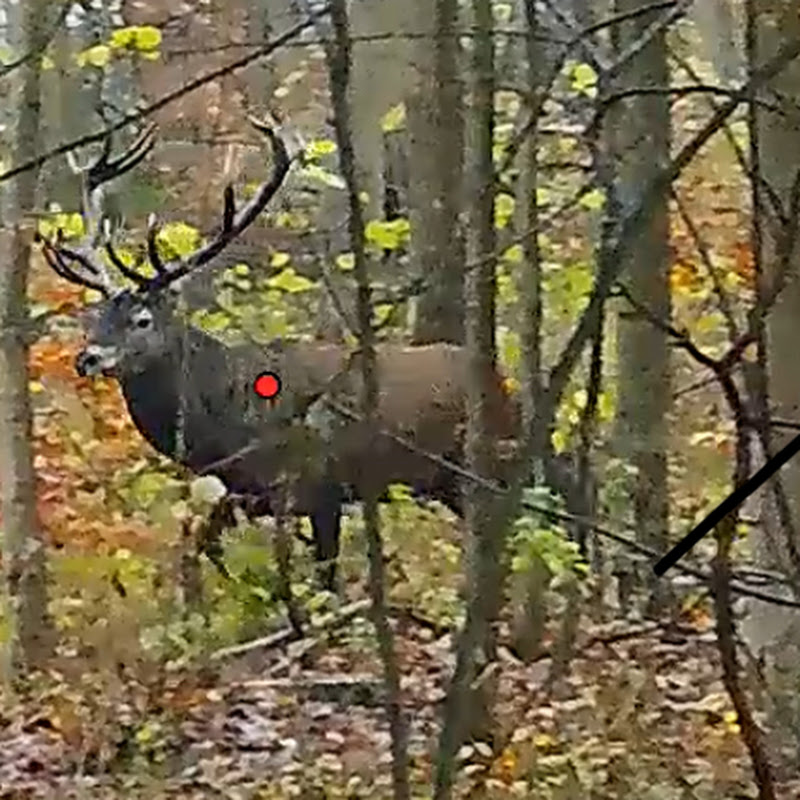 jb hunting