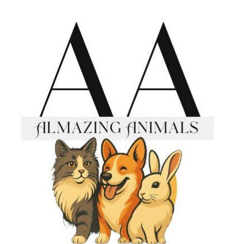 Almazing Animals