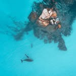 The Margaret River Region