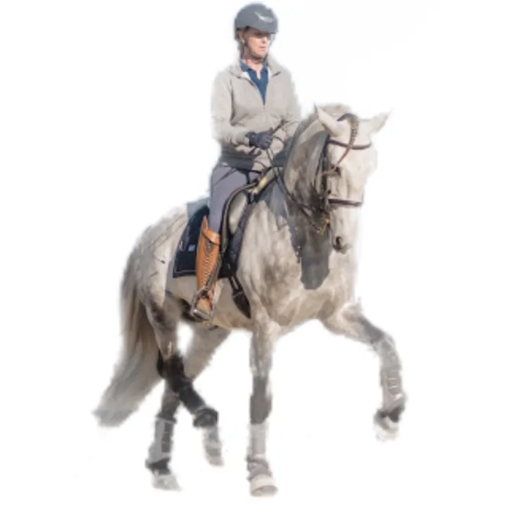 Almeida Dressage 🐴✨